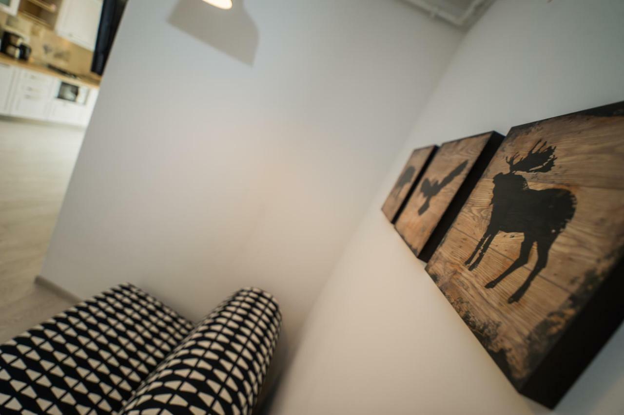 Schiller Apartment 57 - Free Private Parking Brasov Luaran gambar