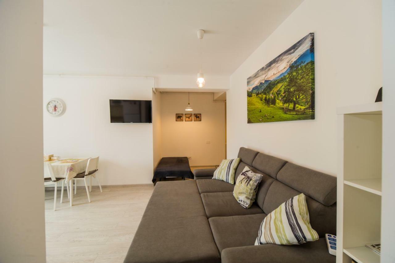 Schiller Apartment 57 - Free Private Parking Brasov Luaran gambar